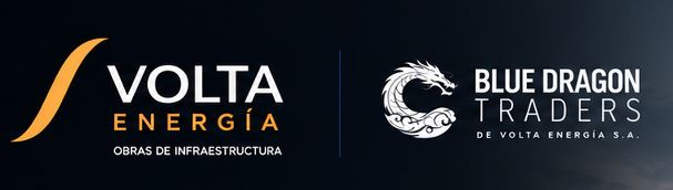 Logo Blue Dragon Trader